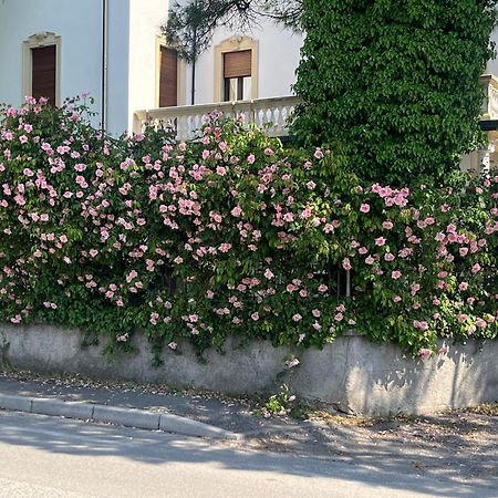 Il Bozzolo Eco Boutique Apartments Valeggio sul Mincio Εξωτερικό φωτογραφία