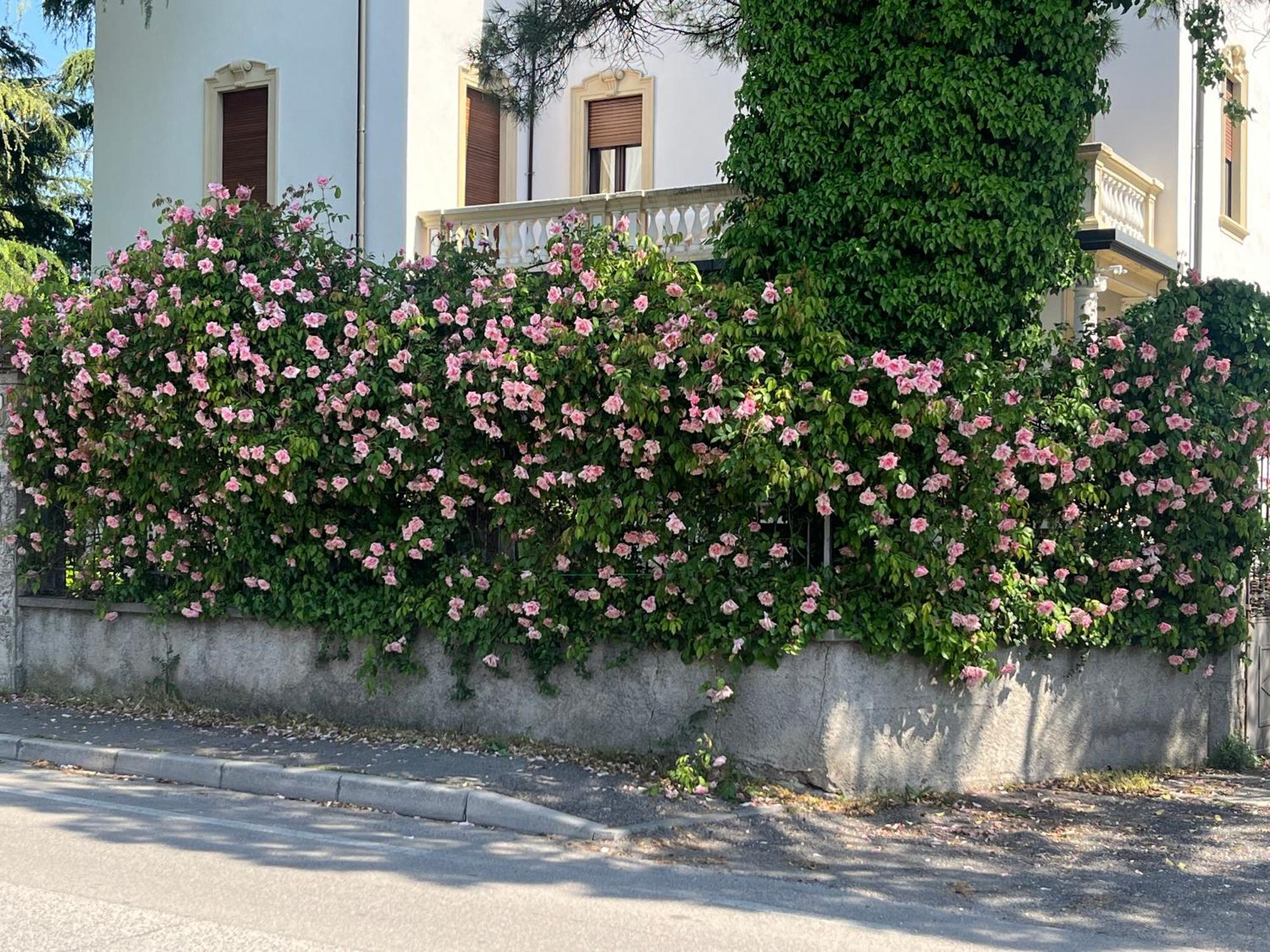 Il Bozzolo Eco Boutique Apartments Valeggio sul Mincio Εξωτερικό φωτογραφία